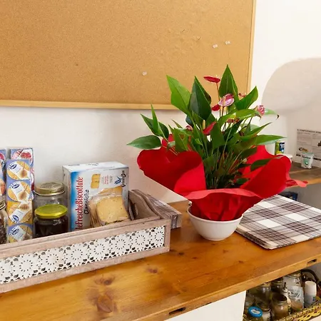 Domus Napoleone Bonaparte Daire